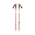 Traverse Ski Poles - Past Season